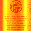 Load image into Gallery viewer, Peachy Keen Hard Iced Tea - 6 Pack