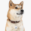 Load image into Gallery viewer, Saltbox Pet Tag