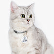 Load image into Gallery viewer, Saltbox Pet Tag