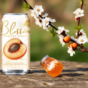 Blossom Cider - 473ml