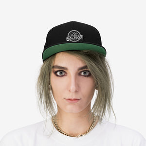 Person wearing Saltbox Brewing Company unisex flat bill hat in black and green